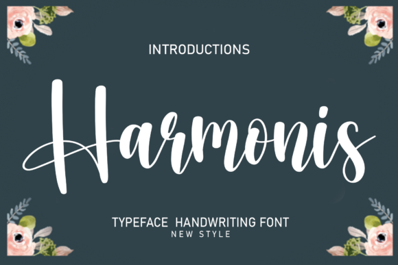A Web Designer's Review: How the Harmonis Font Enhances Digital Branding