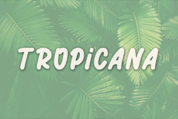 Exploring Tropicana: A Handwritten Font for Editorial Mood