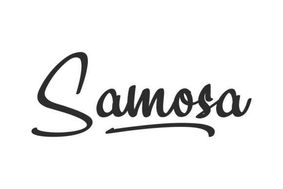 Samosa: An Elegant Script Font for Handmade Products