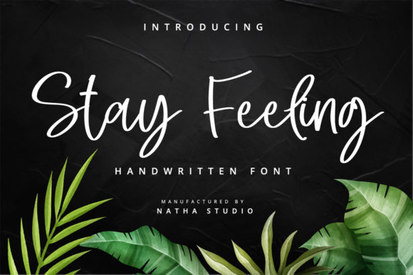 Stay Feeling: A Font to Elevate Your Brand's Visual Identity